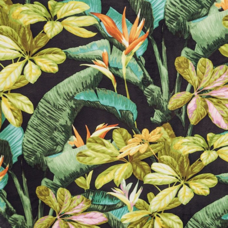 c3c53023976de71a32ef2c6e60aa99bc