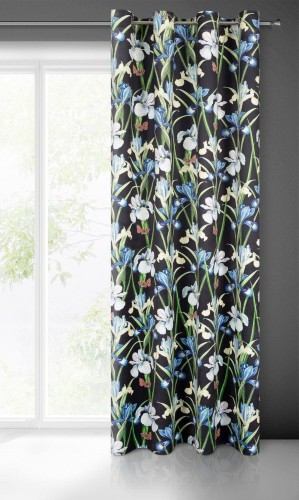 50581550f6a1a89adaeb566725a4a3ac