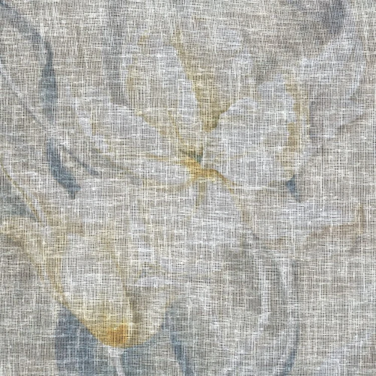 9bf906e1901402ada7510bbed684644f