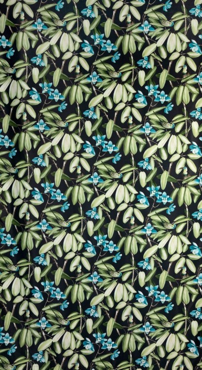 aaf6eb1b8a62636465f7f3a5830aa7de