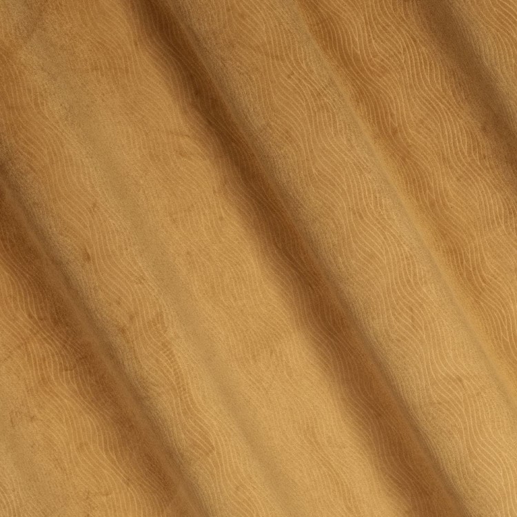 a555241808febe6319a30fc79744f169