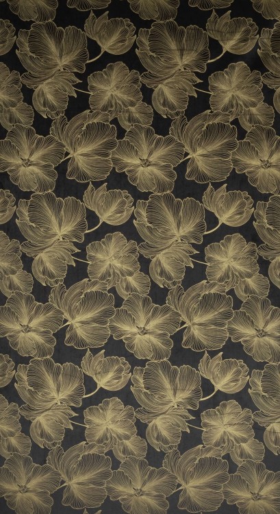 2c3b5fa38c94113b70d13a86199afecd