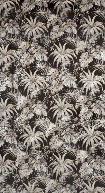 097bbf307a4b5a2d252044a1b02bcb01