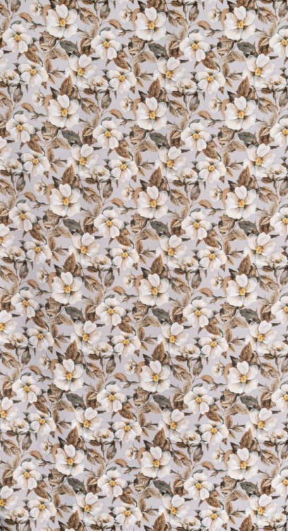 66541b65f910eb3927805e532825edca