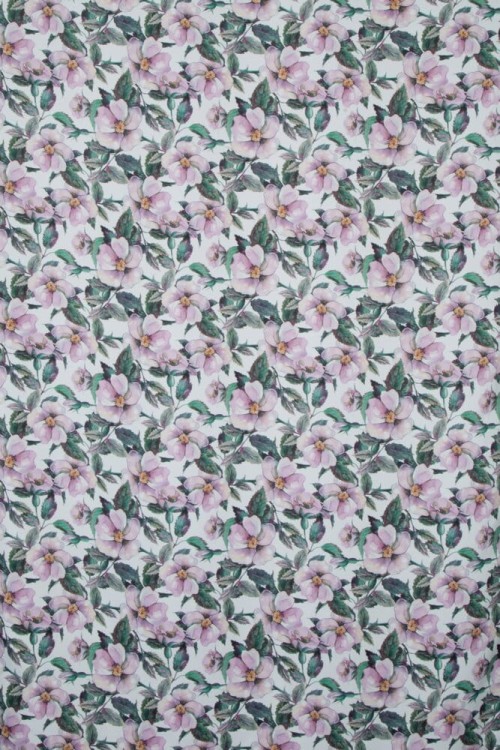 f8f7ad0d020c50c19bcf3e43451d8e81