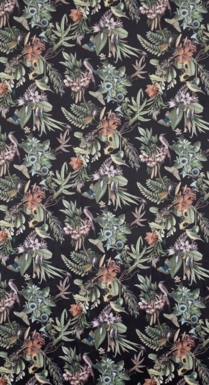 ad434248ce2e682f92c9059b9693a76a