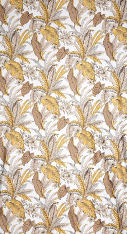 2b09b472123bab790e3ade6c583e6557