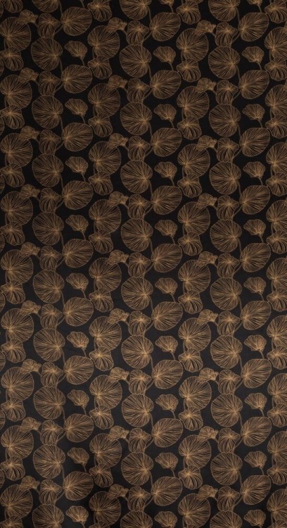 92d8d2480649e25f62998314e41dbd36