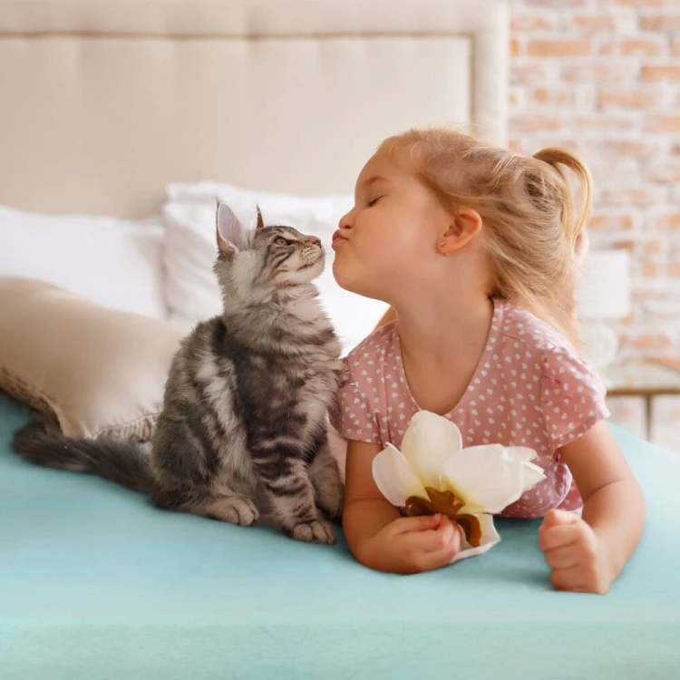 c8472984b1ac3d6aa8eb7e66999de704