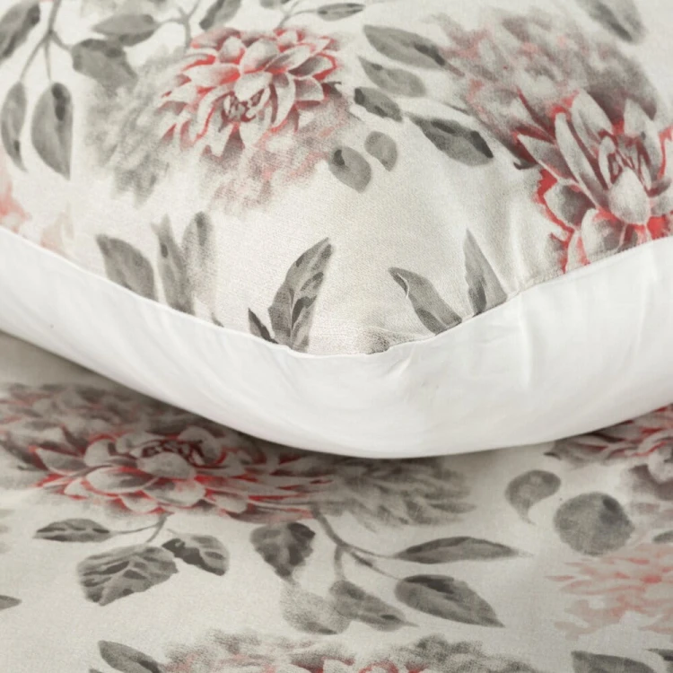 d6601c48e102f4cc1926fa899d05b2a0