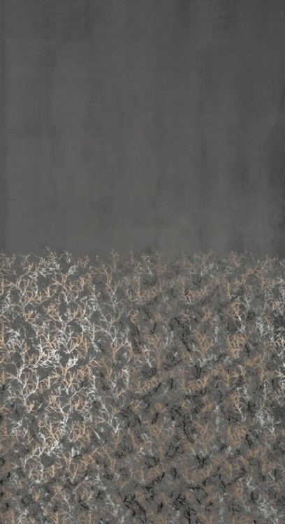 ebfa7dbd4dfeb75640971a4fd8f4bdf9