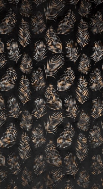 98df38252adfbbc14ff34bd78496c938