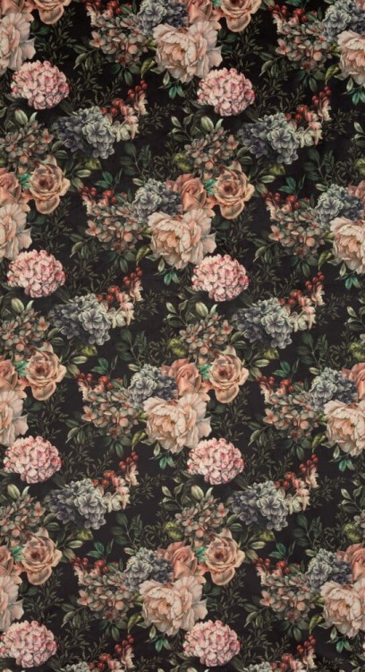 310c07f78210bab6f11c26e6a438c1ea