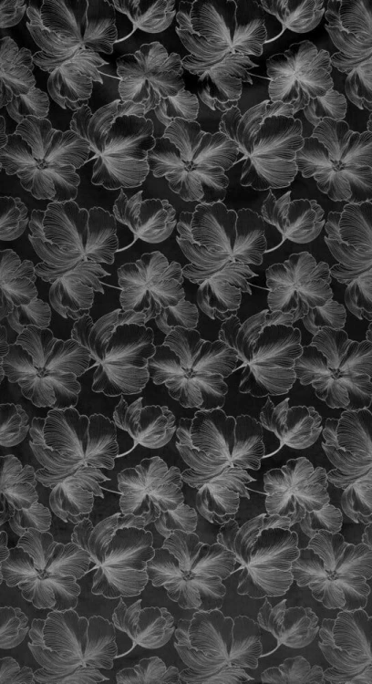 d740a44d7a1d8bebbb1b2e3c26f02e6f