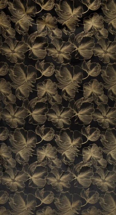 cb14bf033357f9639a162fefa87d50cf