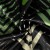 92cbe1898080b196fb0a4b1245113f35