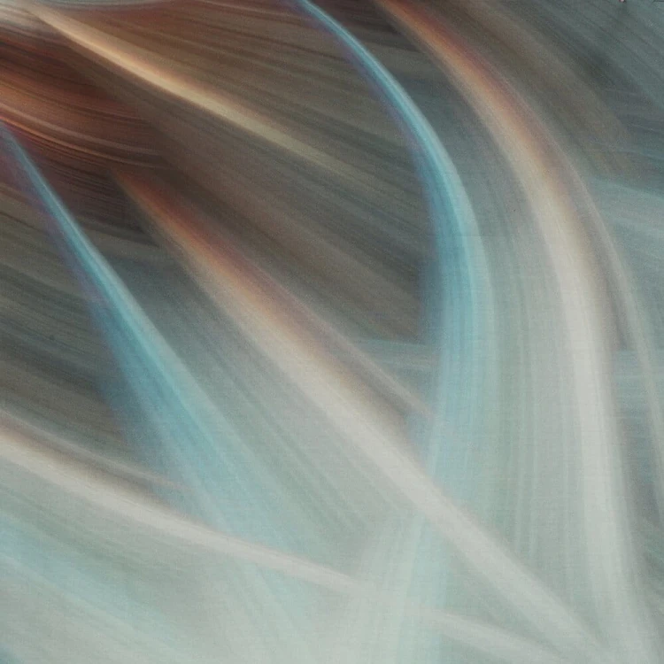 98b28a15061c6c77143b44d8068b5c62