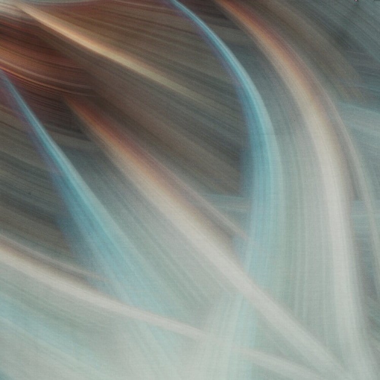 cb79dca87301448b9b0db9bfb3f3e68d