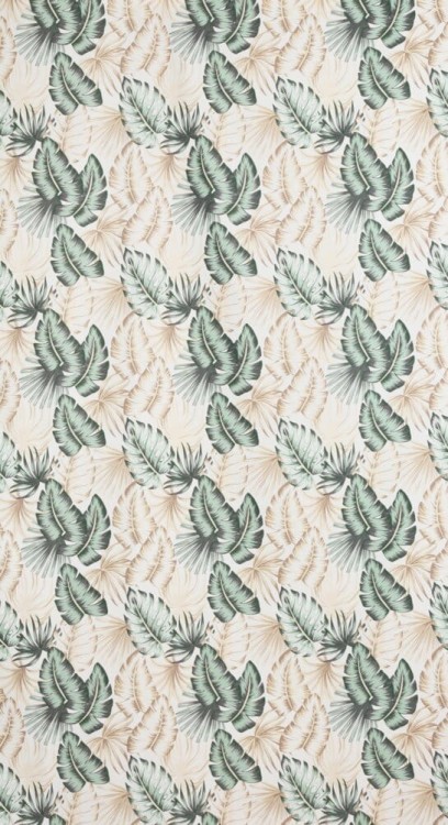 c851812feca93f2340fafbc8370f4f32