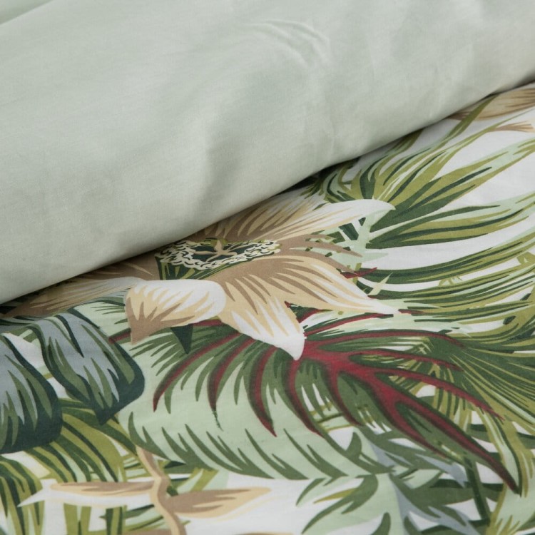 d416bbecc31e1433ccaf6f1c6af1259f