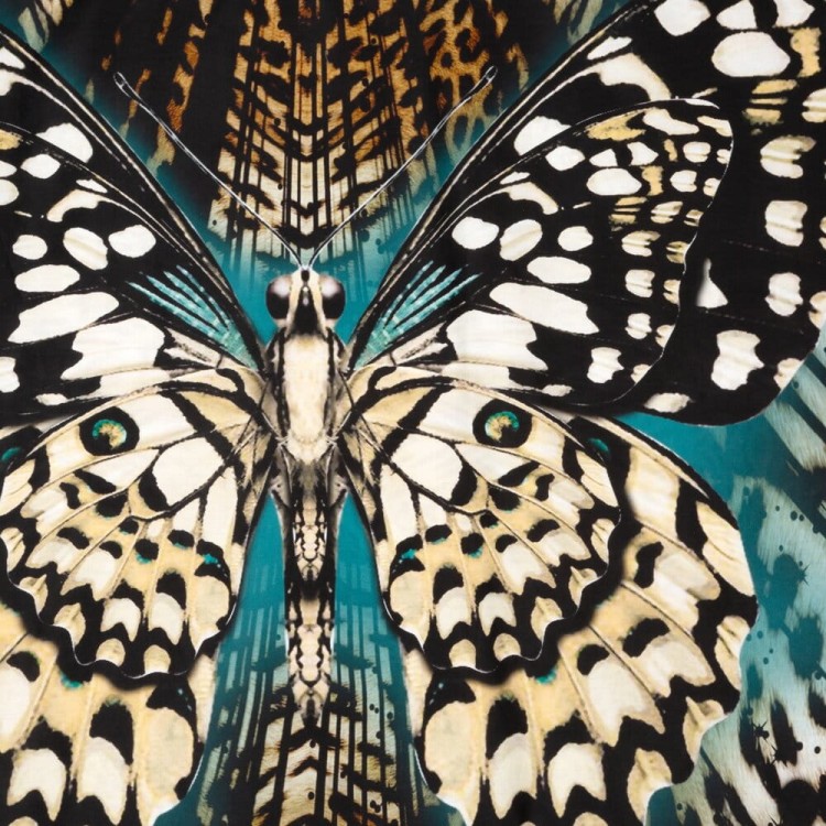 a37932870d54ed18d532957d5b2db2d7