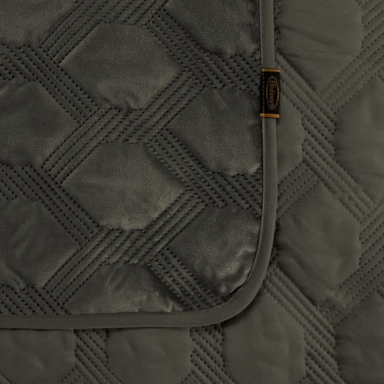 b602d62f6a7172eab6a37927f33954f0