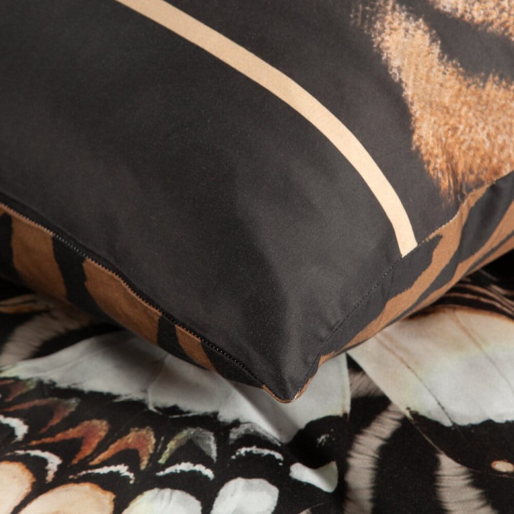 2135e0a393fe0d292db04efa2602448c