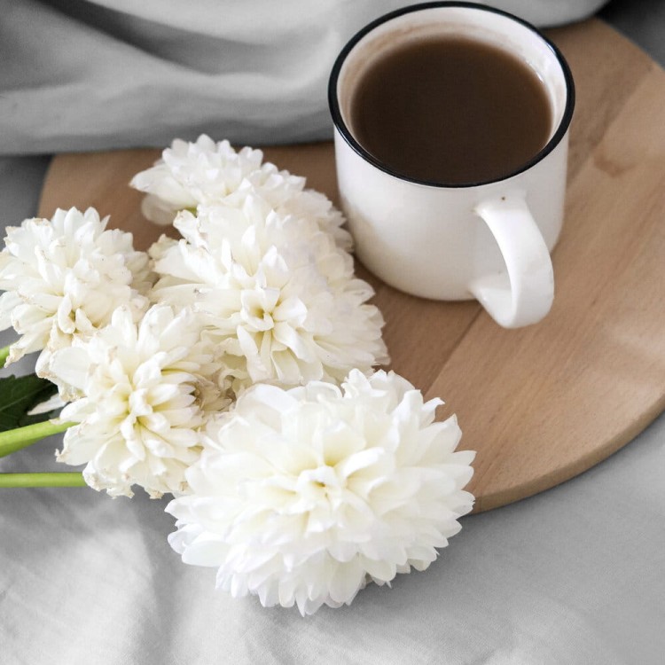 251fca2910635eb6ea423eb78519ac2e