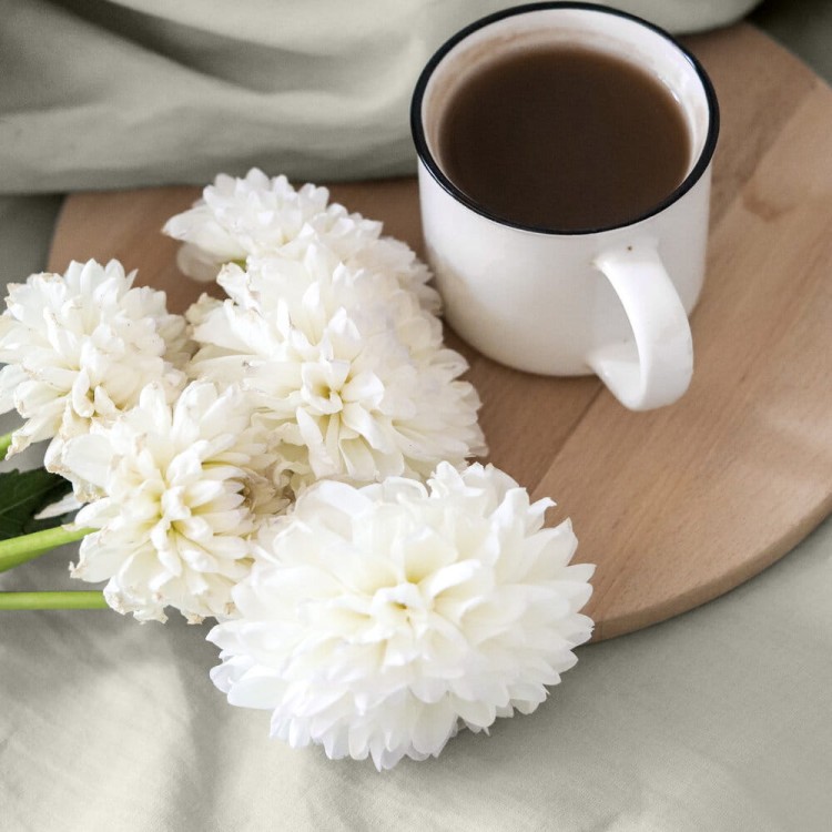 28789e9eb482efcf2e1e67a91551b6bb