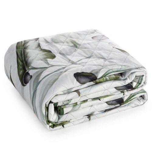 bd3d722a57bf55d5cc4b6ed8802c3ed4