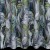 ef1c9483d0b0ff2780a2978667916312