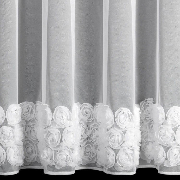 704bc57f561616ecadd0dd213a1ba077