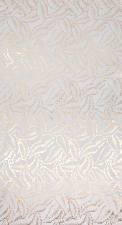 e6fdfe61790e8524a208218f65d49df5