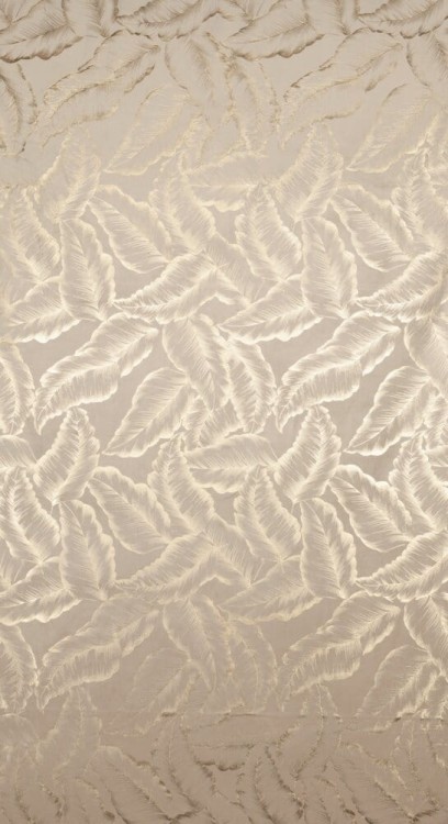 1a50706646049483571d55e826d2e592