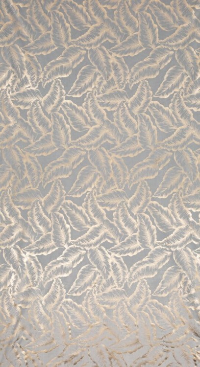 2524cc18444cf6de044bf38e755ea5cc