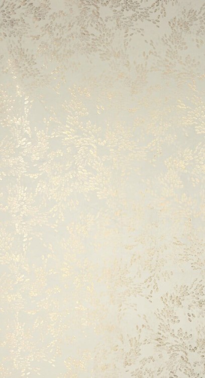 f70ab6832cceebefb465c2590be02dc6