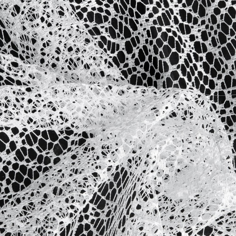 ae1e258b9b29a75d04d450935d72d7a2