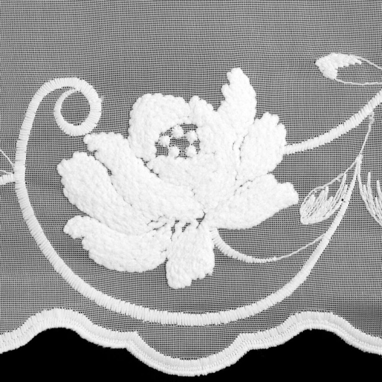 036df646126a63917ded19e2ba1c0e11