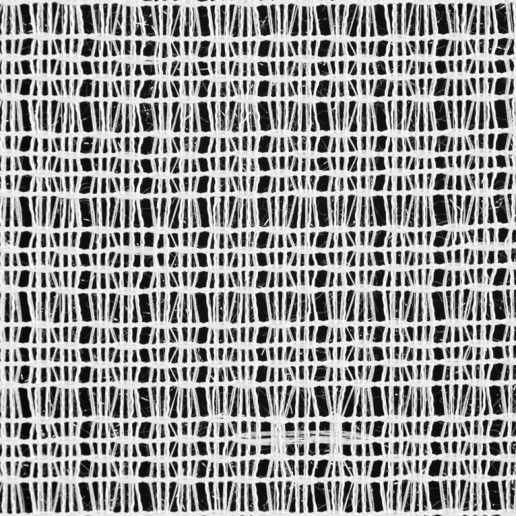 2c20338985d1874a1fb7221555166905