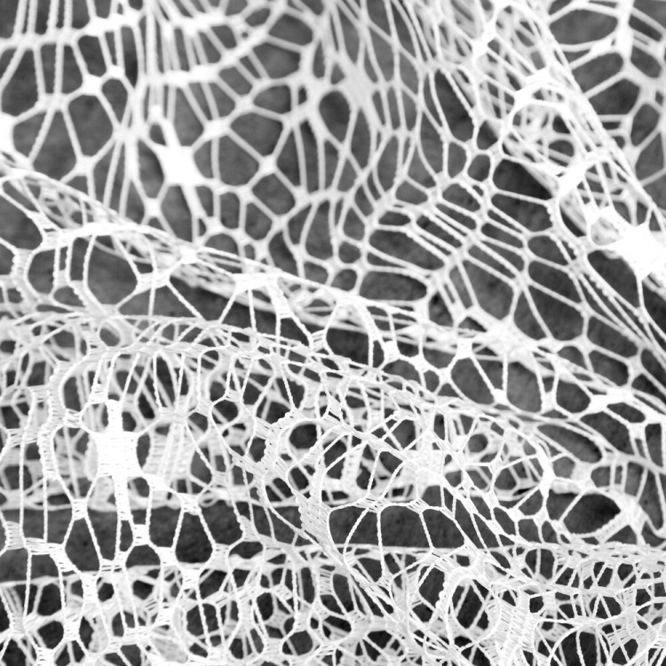 0e1647987673673673d0550b1e811991