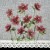 ae998dba7ab6382b04a9ccdec061277a