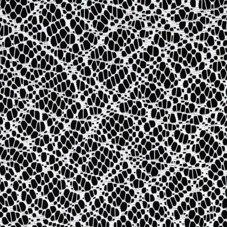 ca288e33680a9a1fca2ee45a77a8b079