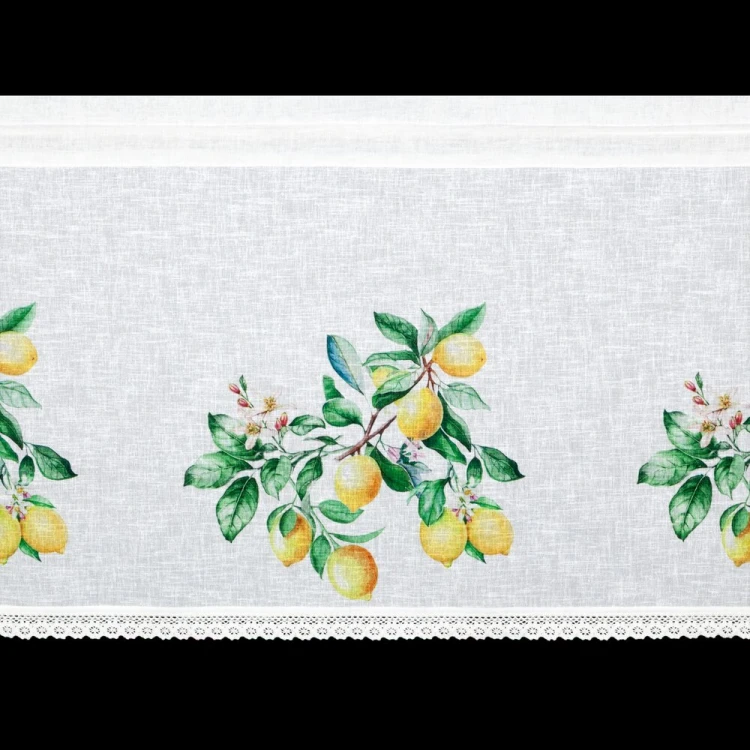 b3512df64a27f2218cb5728b9d750a41