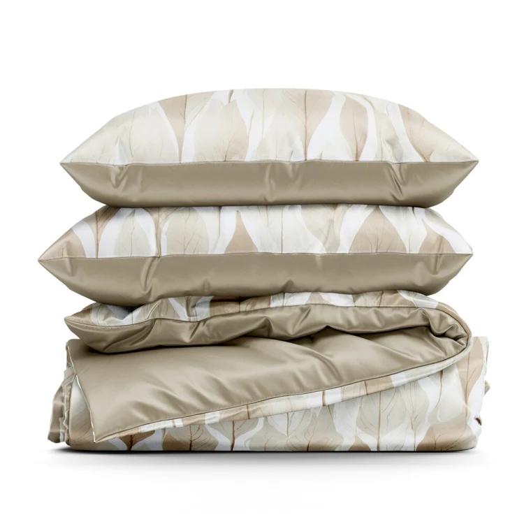 a11b2a365df8b9f9c1384f54a9021ca5