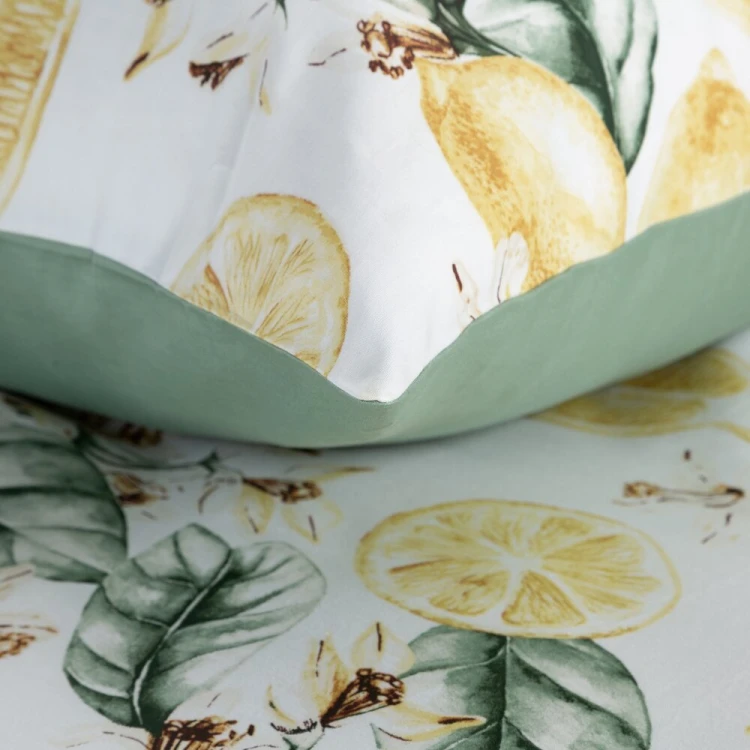 e44dbf1b038ed91955b9961bc5e1051d