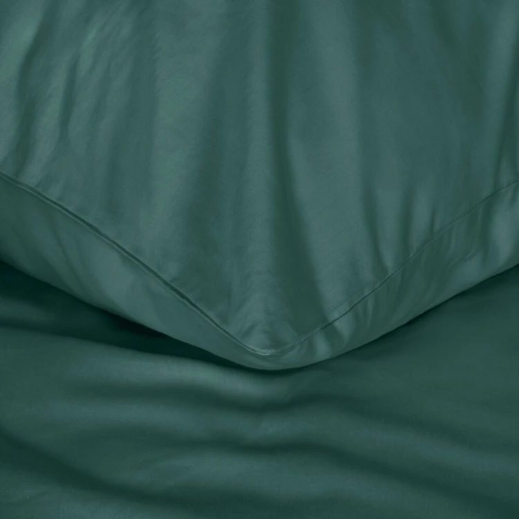 f81409afb6c5b745a0f939fba3252e55