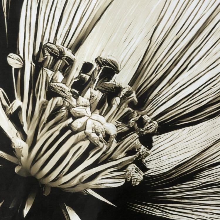 89620f3c6428caf46e936e36729d13e9