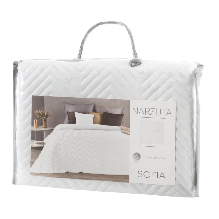 1136ad1e4675cdbc686ea1eca9a693f7